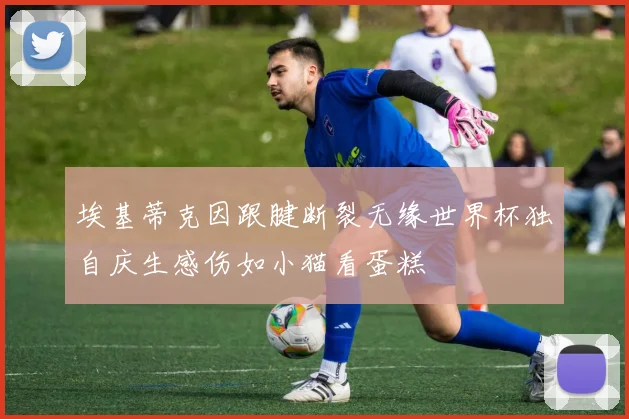 埃基蒂克因跟腱断裂无缘世界杯独自庆生感伤如小猫看蛋糕